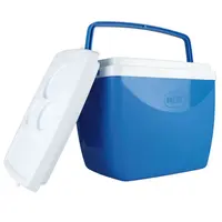 Caixa Térmica Mor 251081 18L Com Alça - Benoit.com.br