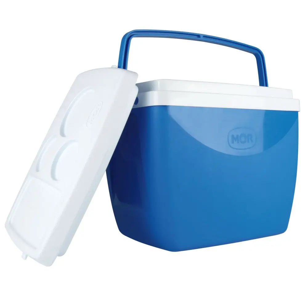 【K0u810】10kg×4 20kg×2 Caixa Térmica Mor 251081 18L Com Alça - Benoit.com.br