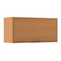 Aéreo Móveis Sul 5311 Francini Com Porta Basculante 80cm