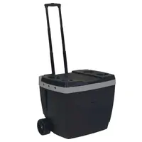 Caixa Térmica Mor 25108220 42L Com Rodinhas - Benoit.com.br