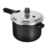Panela de Pressão Panelux 5001808 Magnific 4,5L
