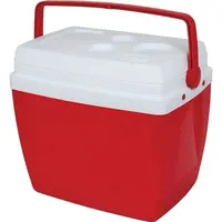 Caixa Térmica Mor 81626939 34L - Benoit.com.br